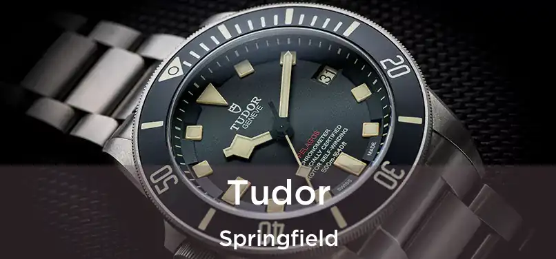 Tudor Springfield