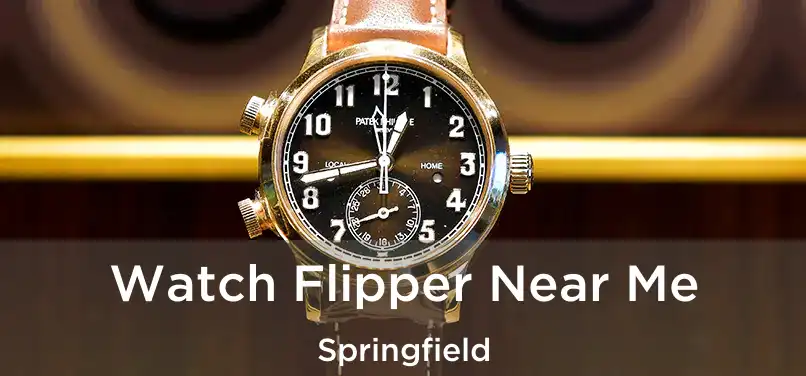 Watch Flipper Near Me Springfield